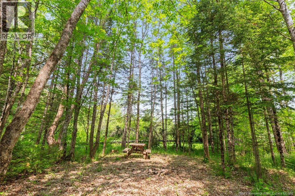 423 Salisbury Back Road, Salisbury, New Brunswick  E4J 1K3 - Photo 27 - NB140434
