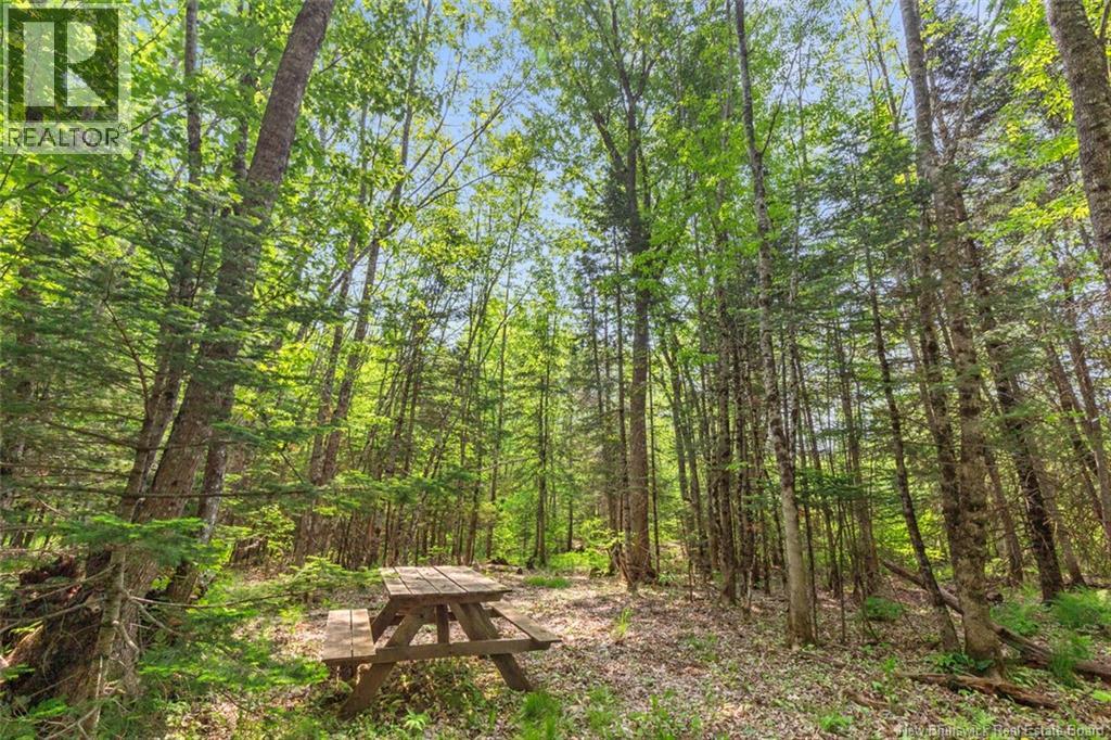 423 Salisbury Back Road, Salisbury, New Brunswick  E4J 1K3 - Photo 28 - NB140434