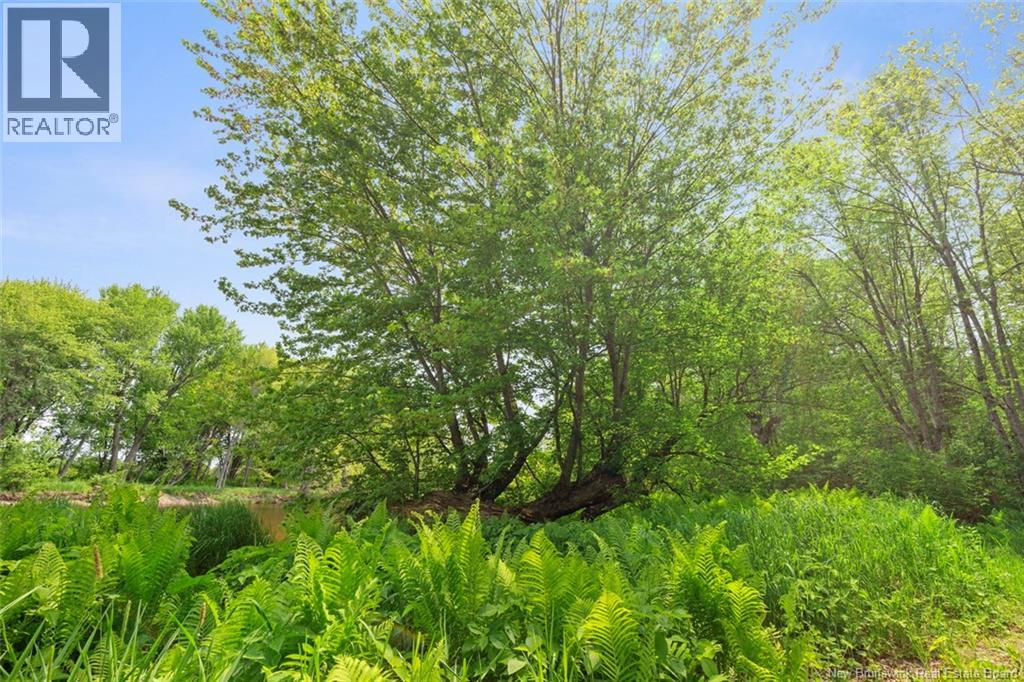 423 Salisbury Back Road, Salisbury, New Brunswick  E4J 1K3 - Photo 32 - NB140434