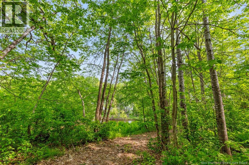 423 Salisbury Back Road, Salisbury, New Brunswick  E4J 1K3 - Photo 34 - NB140434