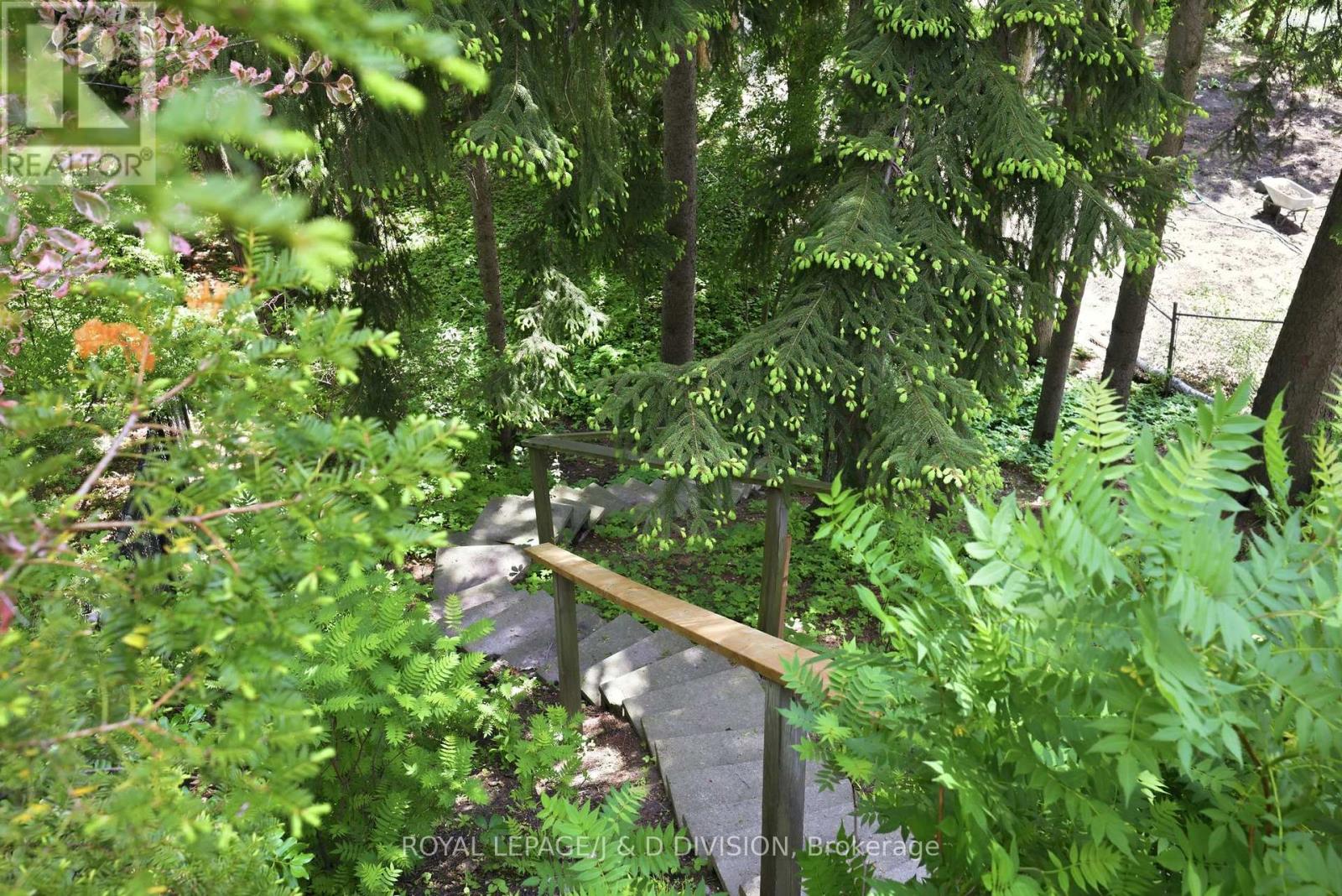 41 Ridge Drive, Toronto, Ontario  M4T 1B6 - Photo 49 - C13174502