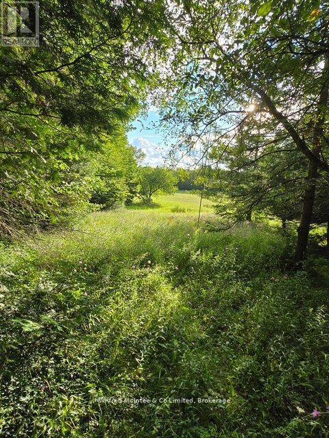 581650 9a Side Road, Chatsworth, Ontario  N0H 1K0 - Photo 6 - X13183620