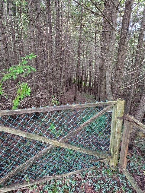 581650 9a Side Road, Chatsworth, Ontario  N0H 1K0 - Photo 7 - X13183620