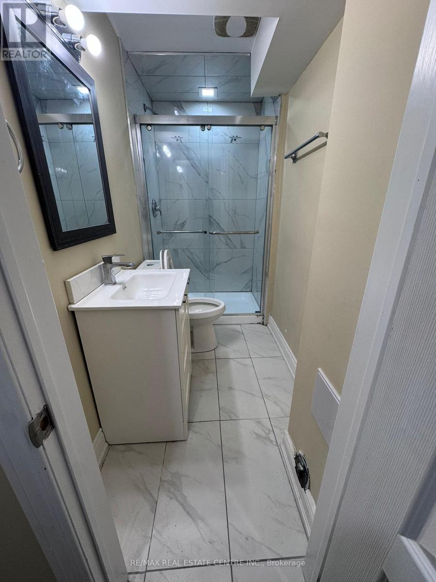 Basement - 140 Cadillac Crescent, Brampton, Ontario  L7A 3B4 - Photo 11 - W13184176