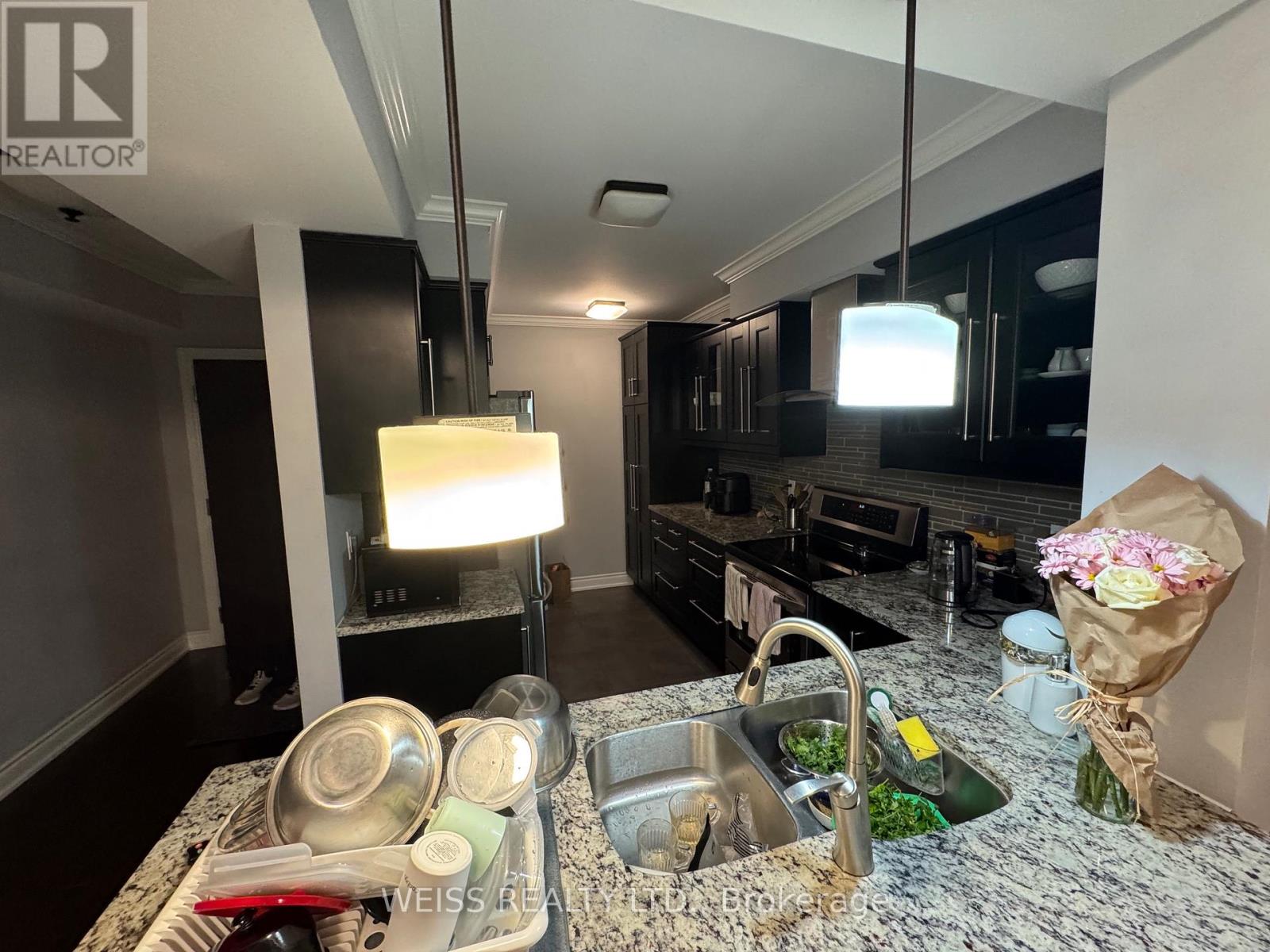 221 - 18 William Carson Crescent, Toronto, Ontario  M2P 2G6 - Photo 3 - C13172138