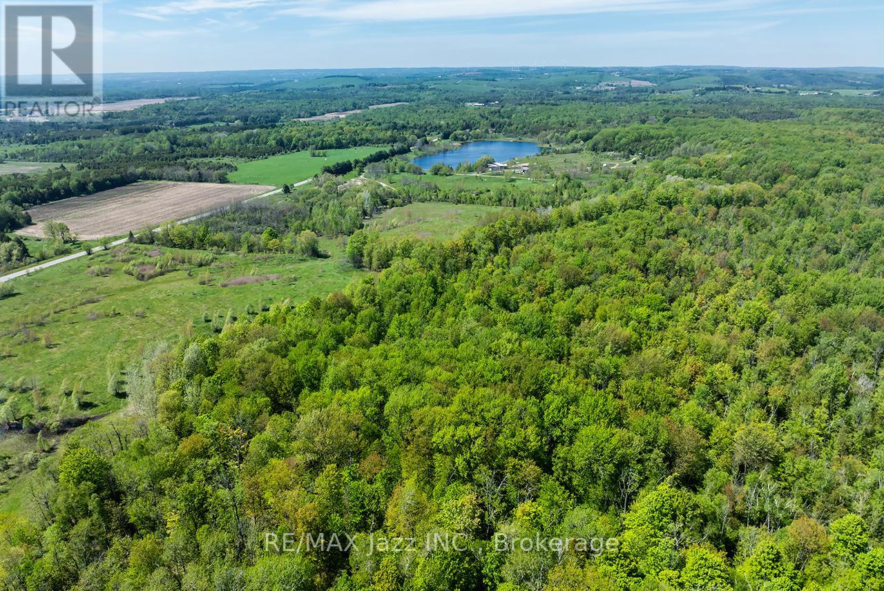 4148 Highway #2, Clarington, Ontario  L1B 1L9 - Photo 10 - E13184902