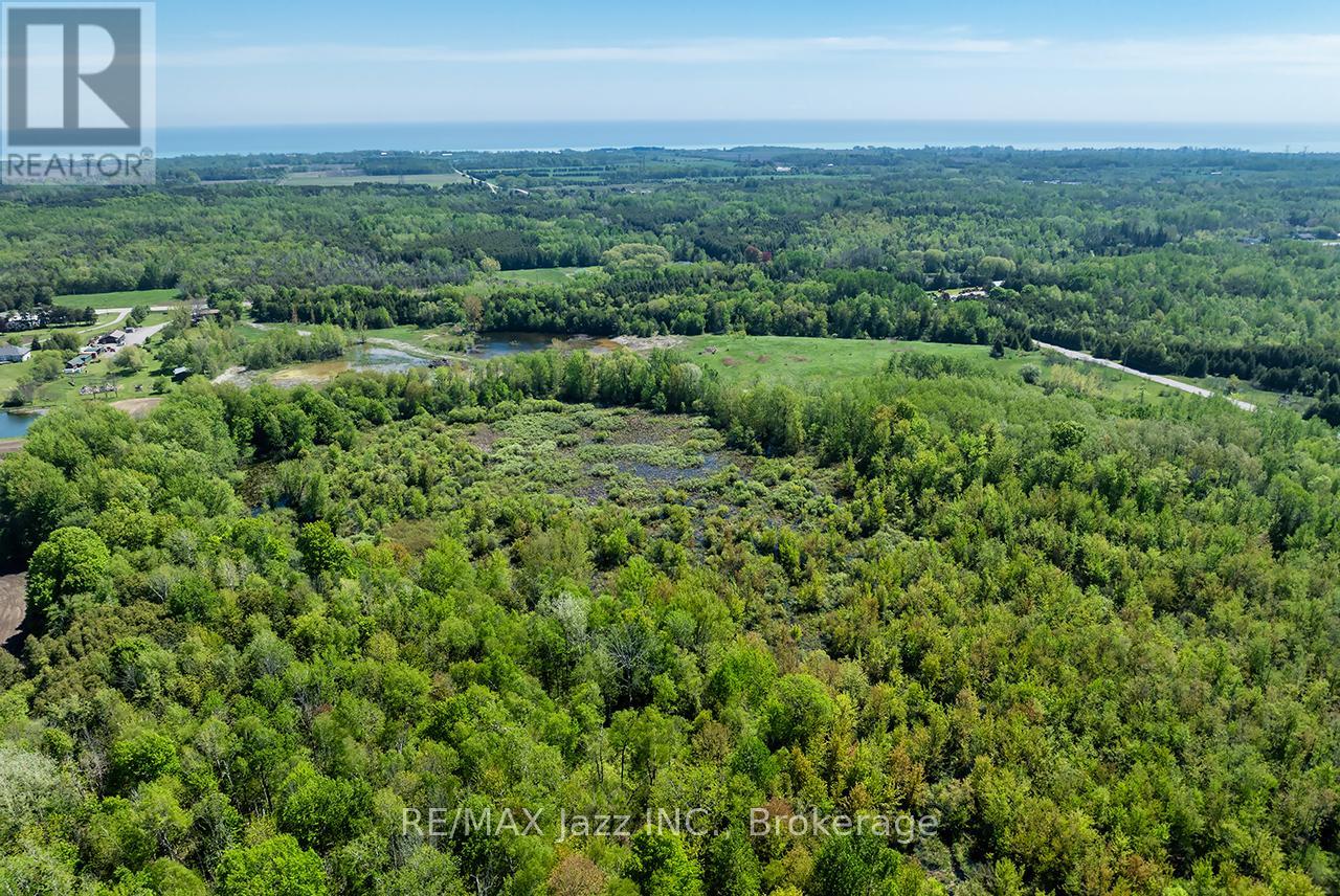 4148 Highway #2, Clarington, Ontario  L1B 1L9 - Photo 11 - E13184902