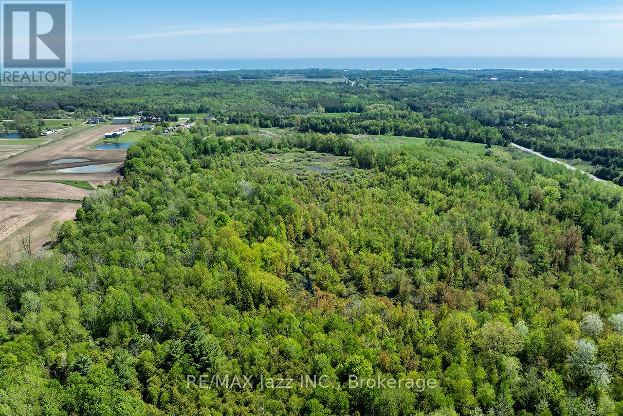 4148 Highway #2, Clarington, Ontario  L1B 1L9 - Photo 12 - E13184902