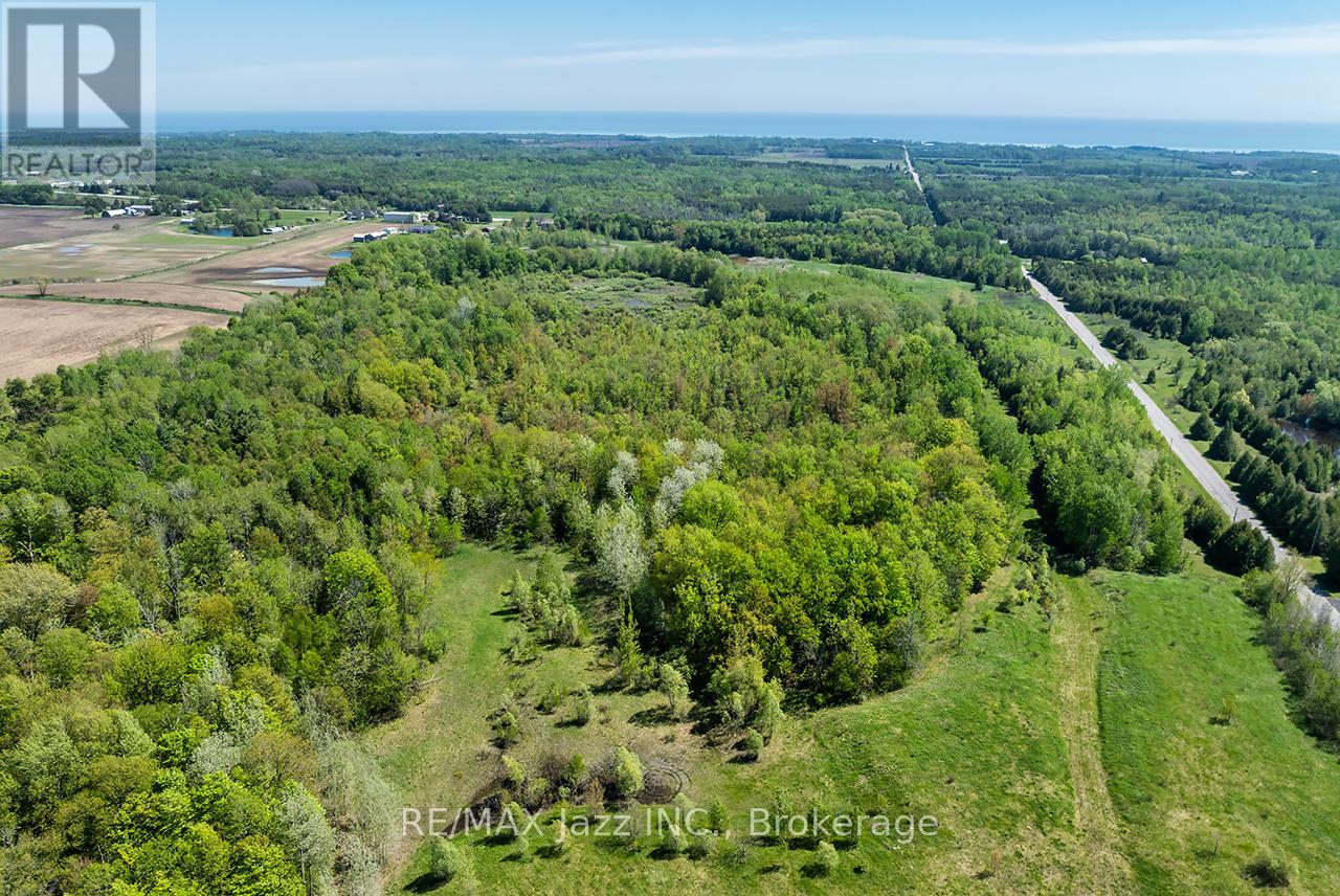 4148 Highway #2, Clarington, Ontario  L1B 1L9 - Photo 13 - E13184902