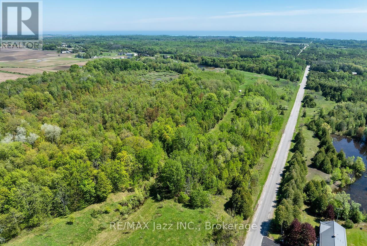 4148 Highway #2, Clarington, Ontario  L1B 1L9 - Photo 15 - E13184902