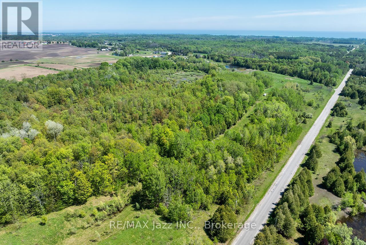 4148 Highway #2, Clarington, Ontario  L1B 1L9 - Photo 16 - E13184902