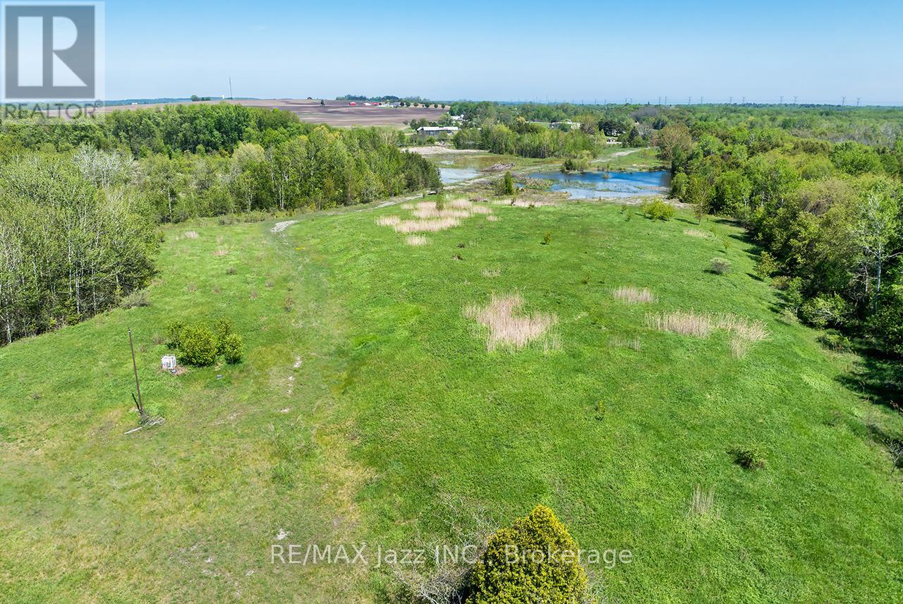 4148 Highway #2, Clarington, Ontario  L1B 1L9 - Photo 17 - E13184902