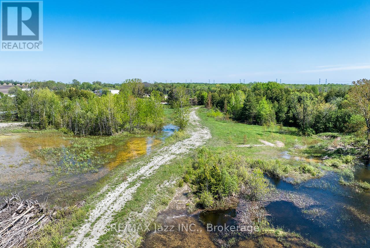 4148 Highway #2, Clarington, Ontario  L1B 1L9 - Photo 18 - E13184902