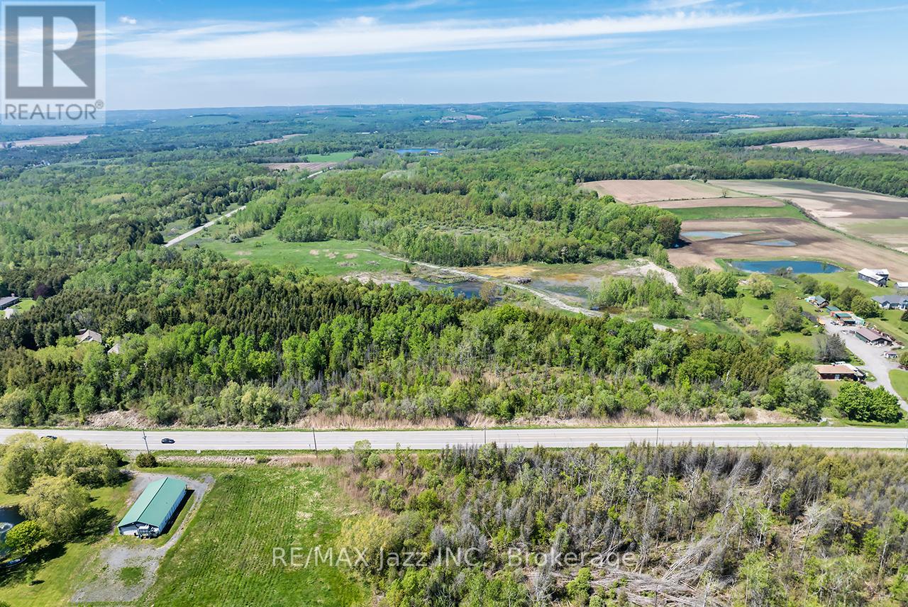 4148 Highway #2, Clarington, Ontario  L1B 1L9 - Photo 20 - E13184902
