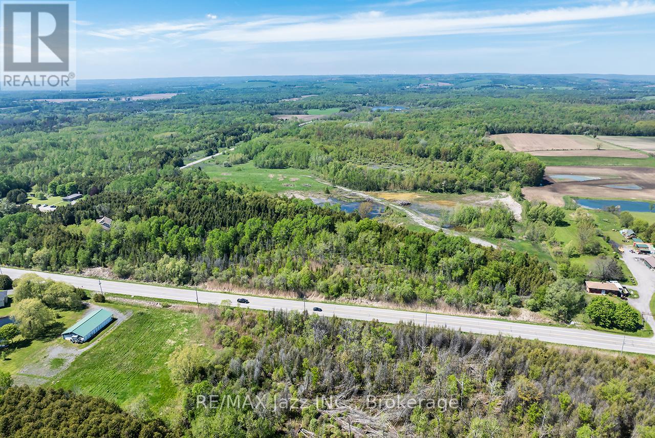 4148 Highway #2, Clarington, Ontario  L1B 1L9 - Photo 21 - E13184902