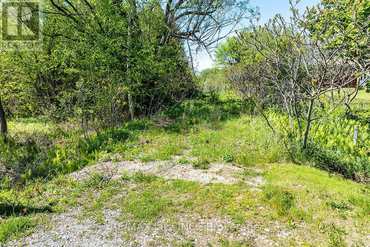 4148 Highway #2, Clarington, Ontario  L1B 1L9 - Photo 22 - E13184902