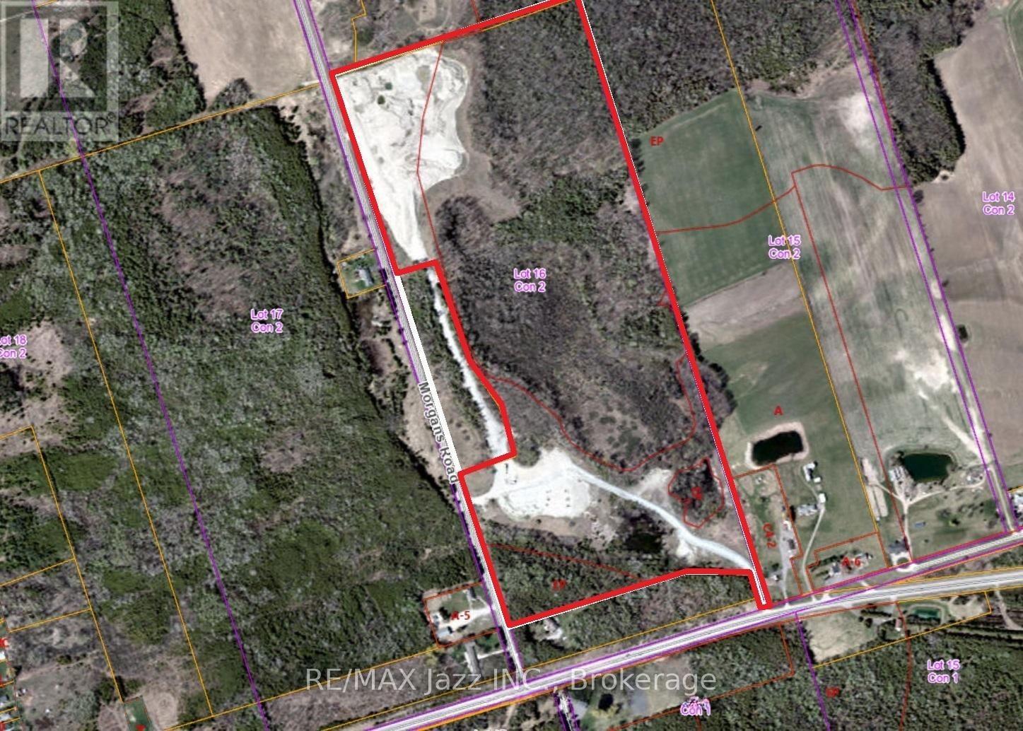 4148 Highway #2, Clarington, Ontario  L1B 1L9 - Photo 25 - E13184902