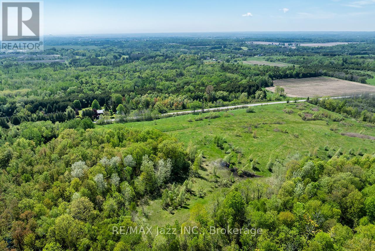 4148 Highway #2, Clarington, Ontario  L1B 1L9 - Photo 3 - E13184902