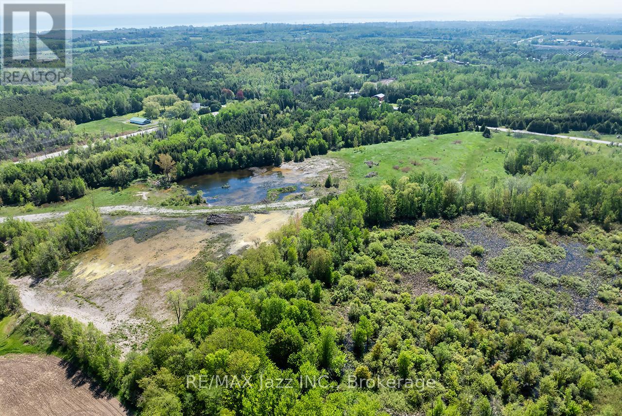 4148 Highway #2, Clarington, Ontario  L1B 1L9 - Photo 4 - E13184902