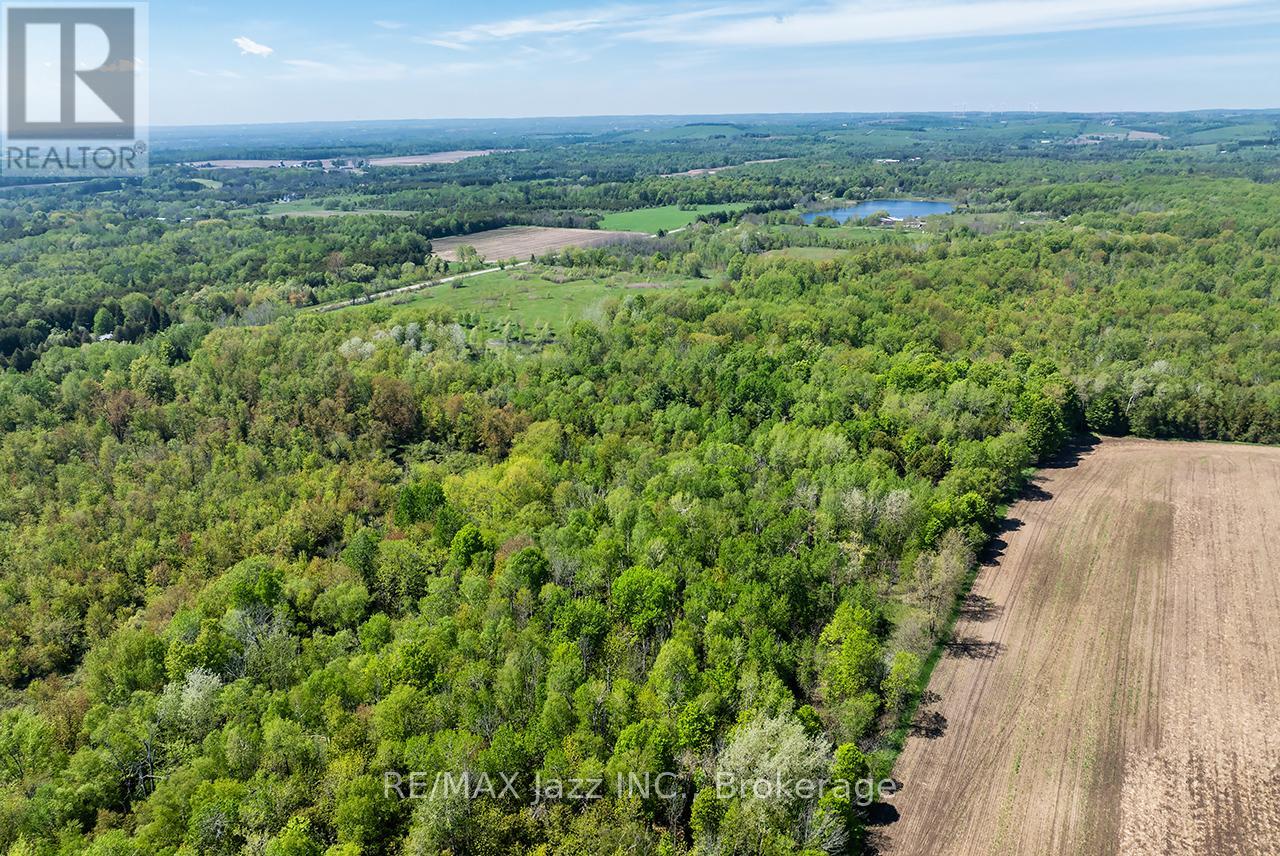 4148 Highway #2, Clarington, Ontario  L1B 1L9 - Photo 5 - E13184902