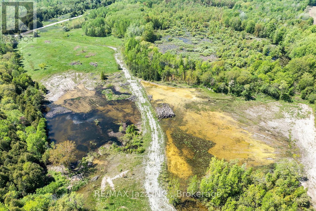 4148 Highway #2, Clarington, Ontario  L1B 1L9 - Photo 6 - E13184902