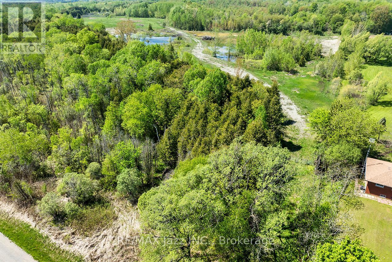 4148 Highway #2, Clarington, Ontario  L1B 1L9 - Photo 7 - E13184902