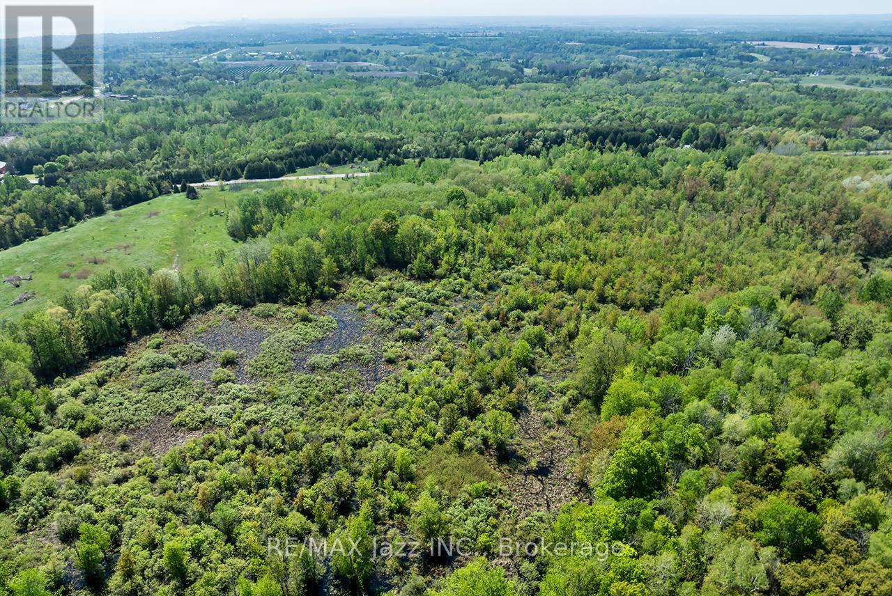4148 Highway #2, Clarington, Ontario  L1B 1L9 - Photo 8 - E13184902