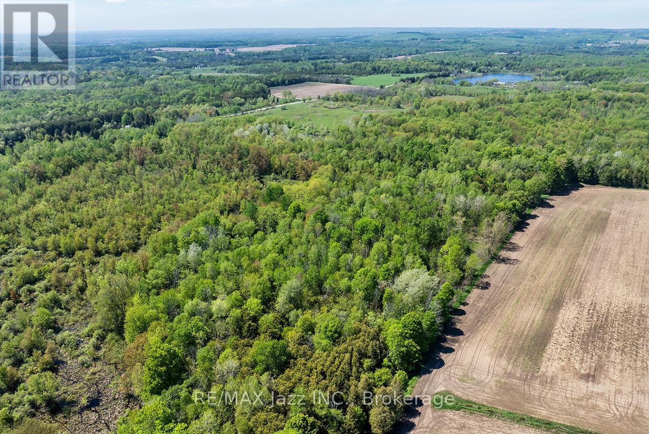 4148 Highway #2, Clarington, Ontario  L1B 1L9 - Photo 9 - E13184902