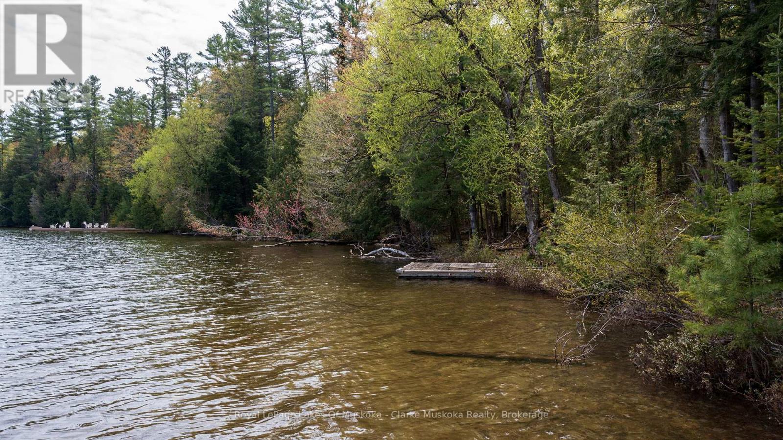 252 Clear Lake Road, Seguin, Ontario  P2A 2W8 - Photo 6 - X13007186