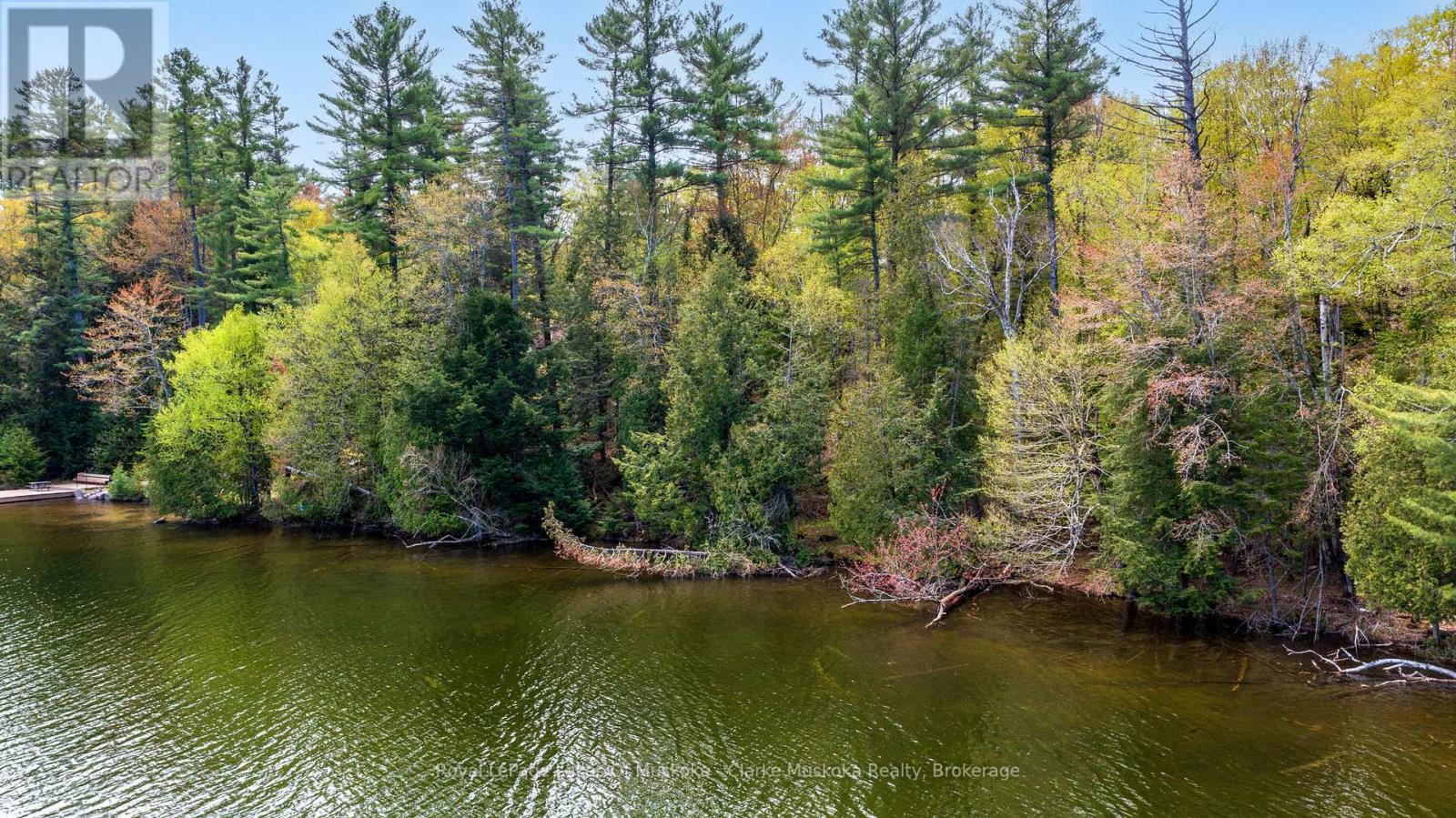 252 Clear Lake Road, Seguin, Ontario  P2A 2W8 - Photo 5 - X13007186