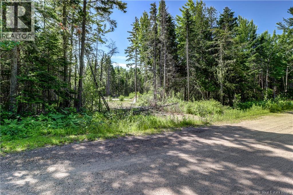 29 Gwens Lane, Mill Cove, New Brunswick  E4K 3N2 - Photo 15 - NB132099