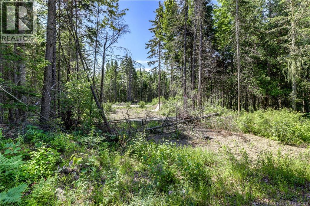 29 Gwens Lane, Mill Cove, New Brunswick  E4K 3N2 - Photo 14 - NB132099