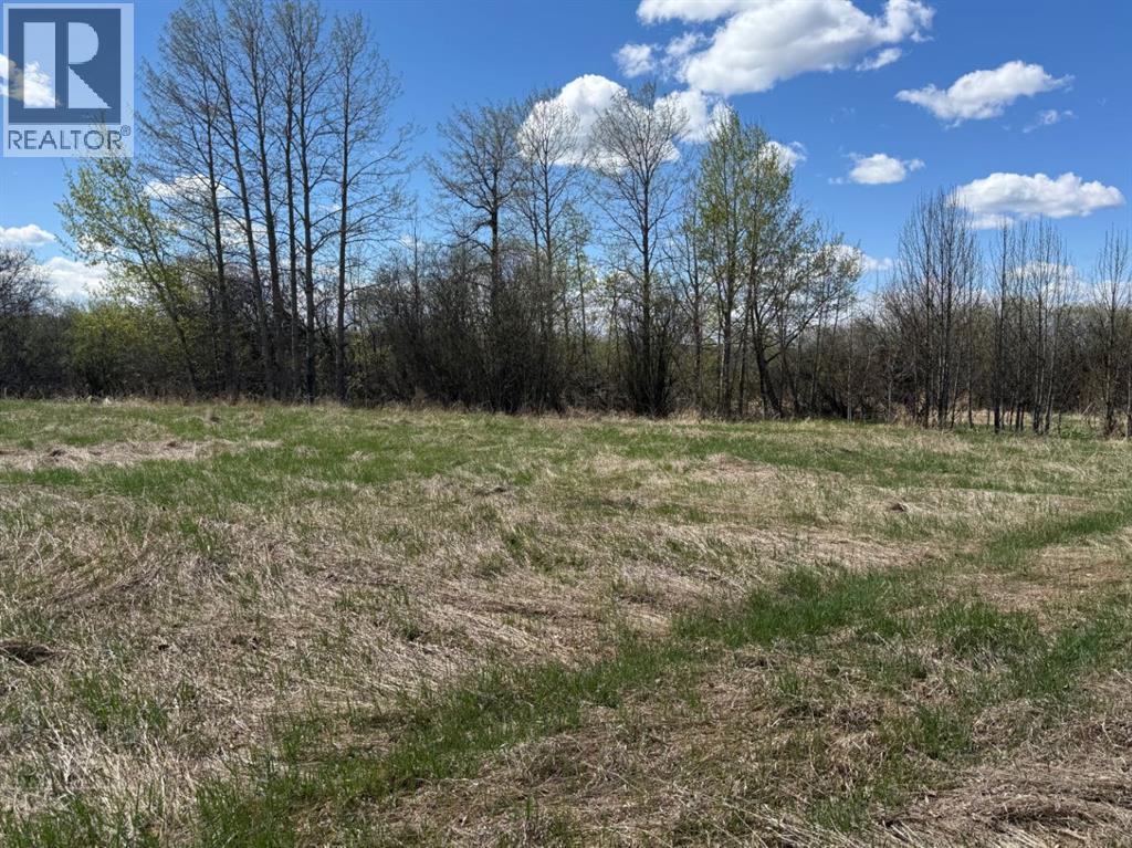 408 461032 Highway 13, Buck Lake, Alberta  T0C 0T0 - Photo 10 - A2311889