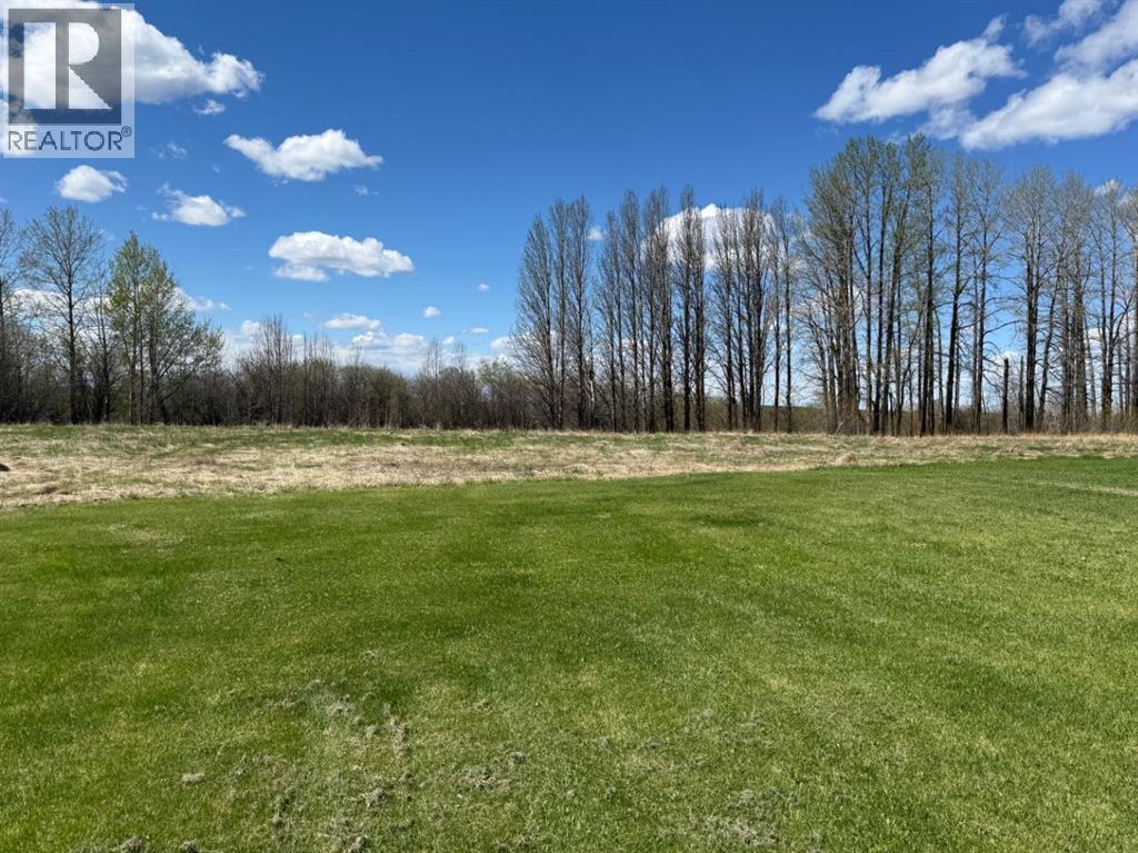 408 461032 Highway 13, Buck Lake, Alberta  T0C 0T0 - Photo 3 - A2311889