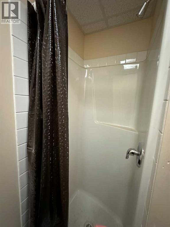 10203b 123 Street, Grande Prairie, Alberta  T8V 8B7 - Photo 11 - A2315217