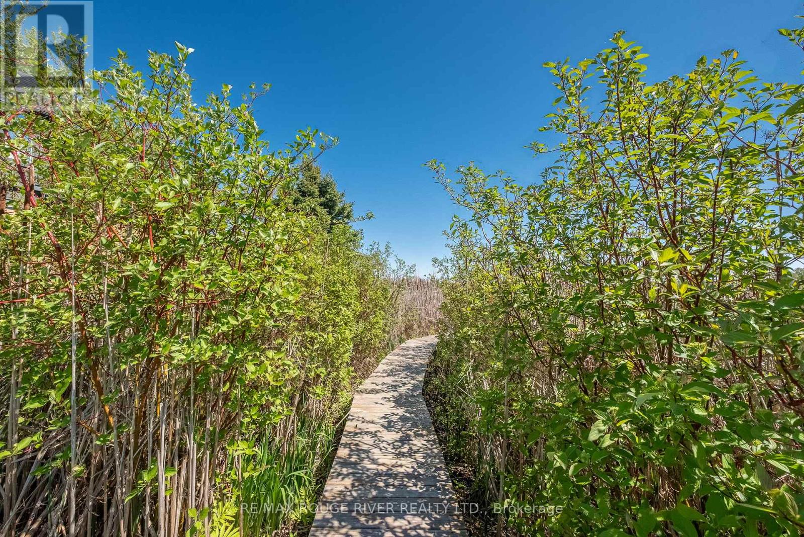 57 Harbour Street, Brighton, Ontario  K0K 1H0 - Photo 33 - X13097970