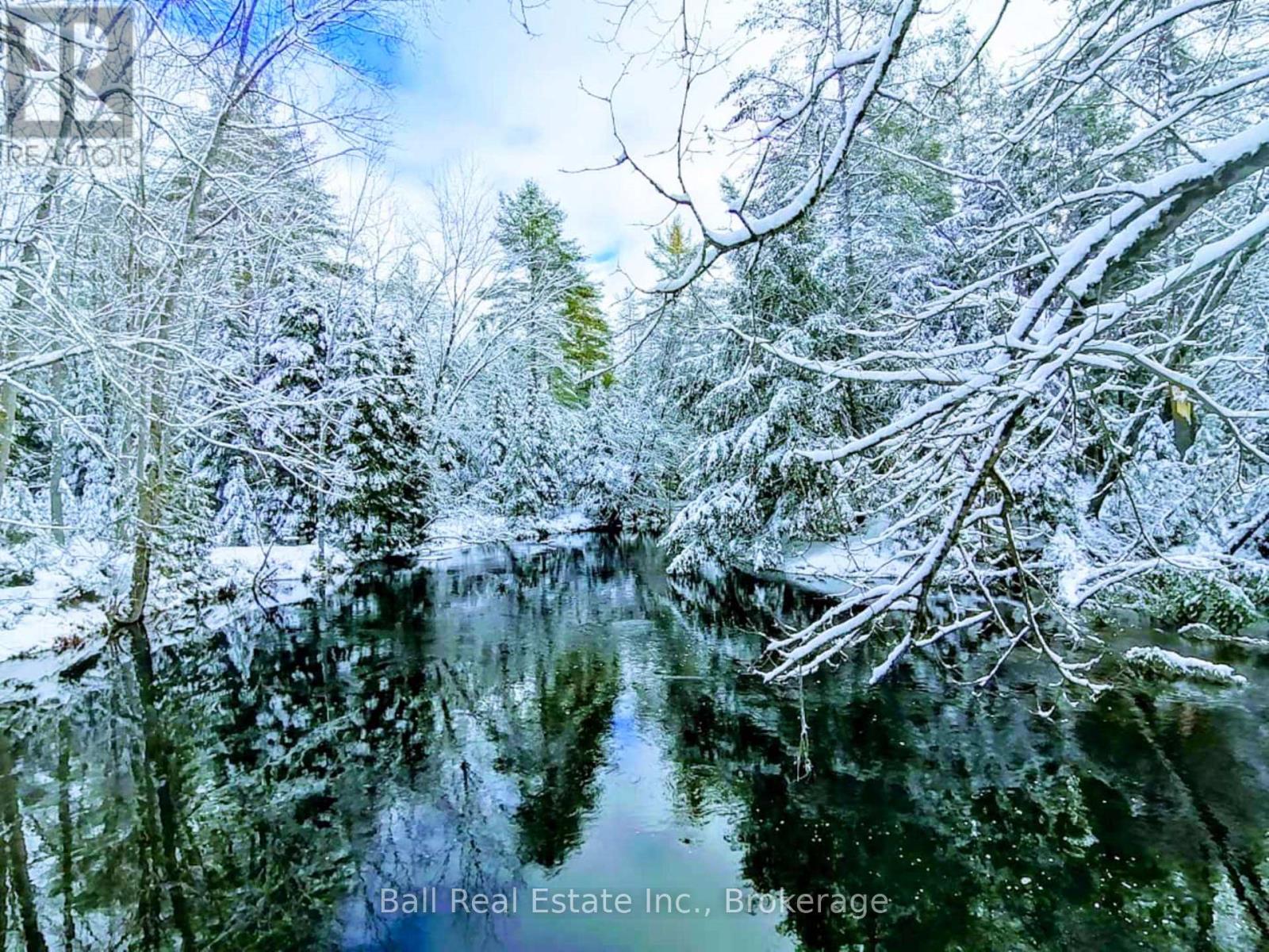8403 Highway 28, North Kawartha, Ontario  K0L 1A0 - Photo 38 - X13188844