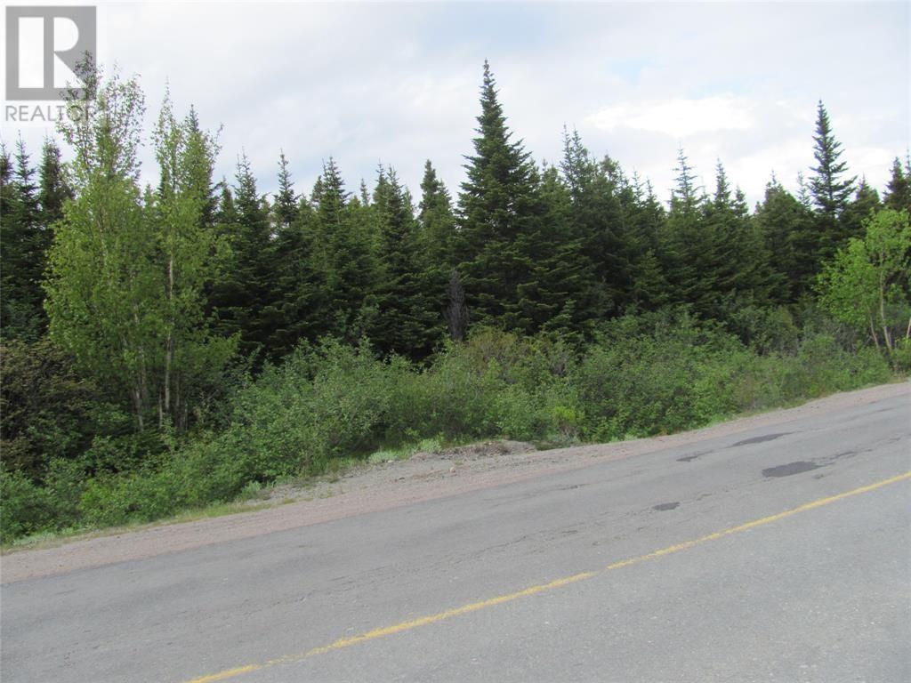 301-307 John Cabot Drive, Bonavista, Newfoundland & Labrador  A0C 1B0 - Photo 3 - 1298091