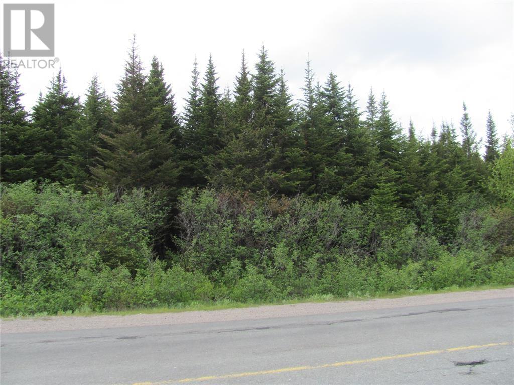301-307 John Cabot Drive, Bonavista, Newfoundland & Labrador  A0C 1B0 - Photo 5 - 1298091