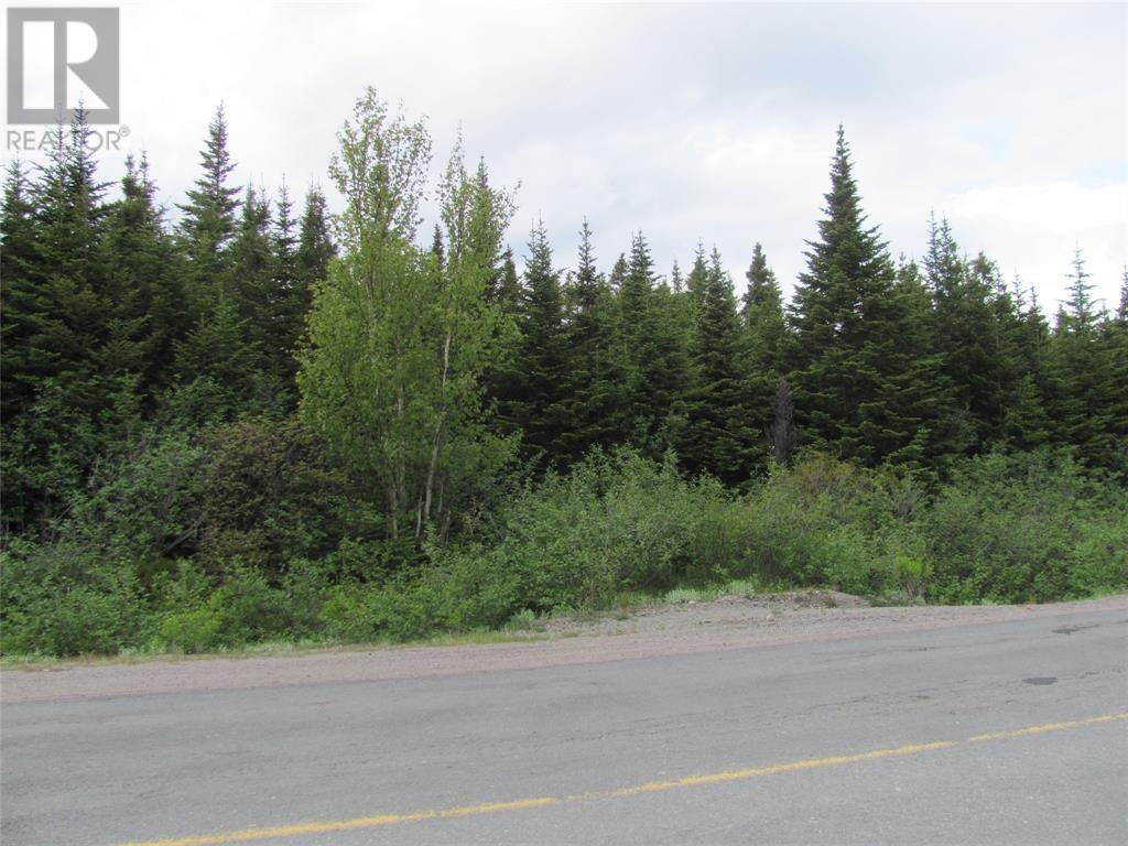 301-307 John Cabot Drive, Bonavista, Newfoundland & Labrador  A0C 1B0 - Photo 6 - 1298091
