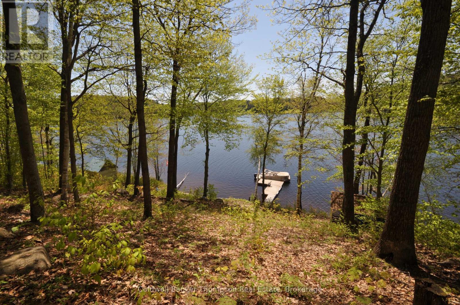 768 Big Island, Huntsville, Ontario P1H 2J2 - Photo 38 - X13188764