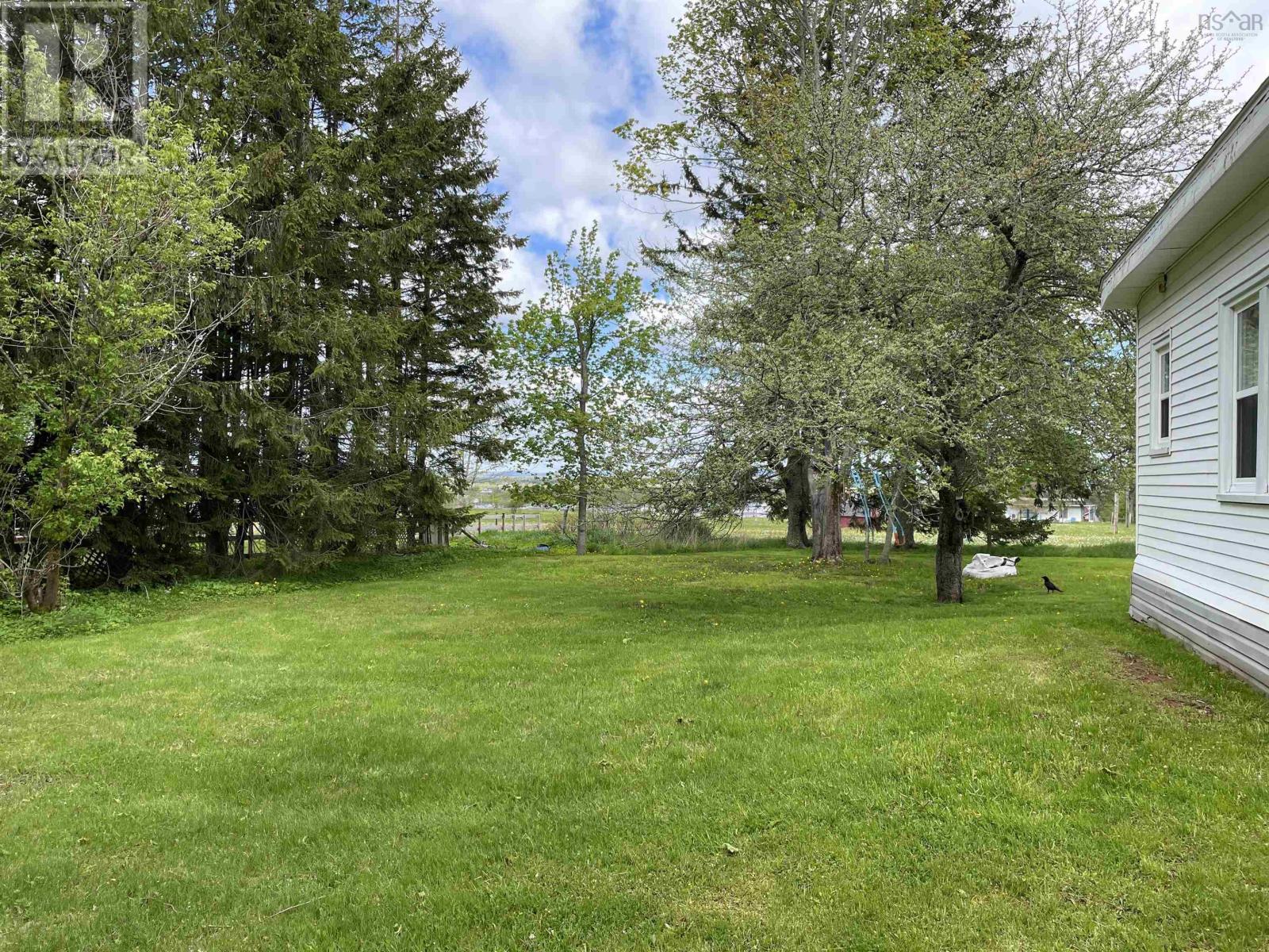 165 Ryland Avenue, Bible Hill, Nova Scotia  B2N 2V5 - Photo 3 - 202612307