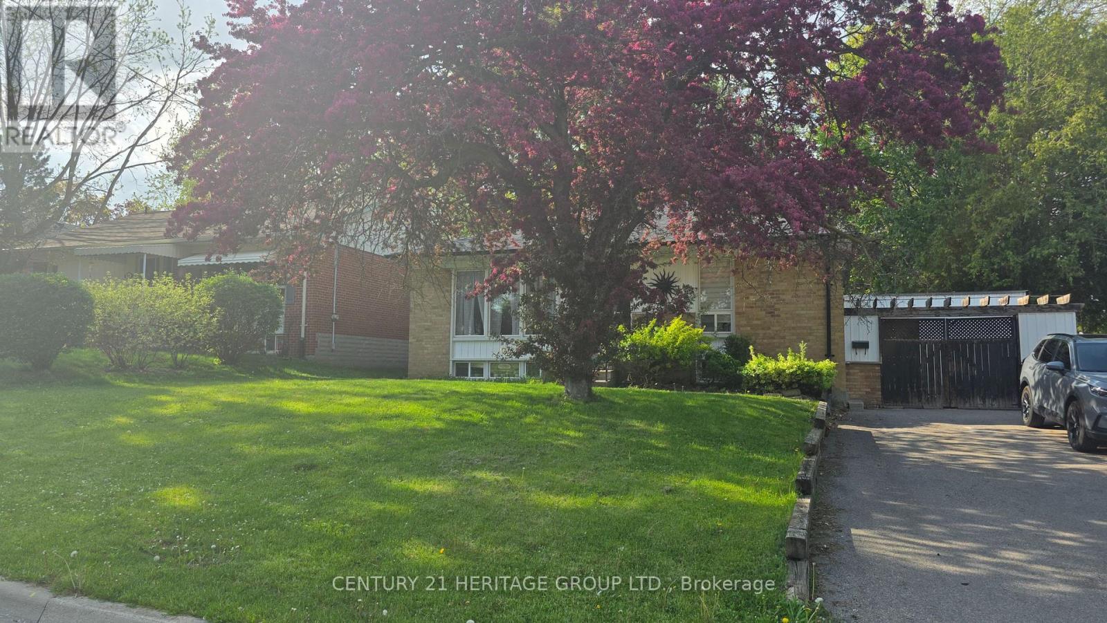 Bsmnt - 83 Monkswood Crescent N, Newmarket, Ontario  L3Y 2J9 - Photo 1 - N13187322