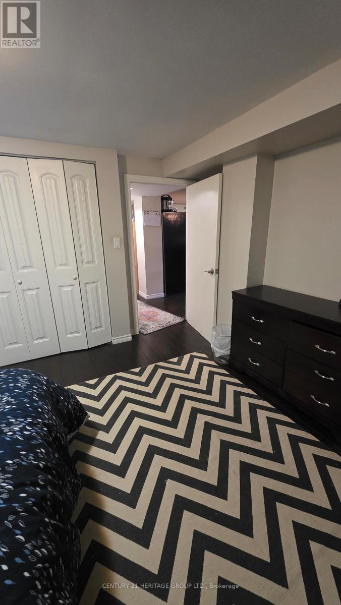 Bsmnt - 83 Monkswood Crescent N, Newmarket, Ontario  L3Y 2J9 - Photo 8 - N13187322