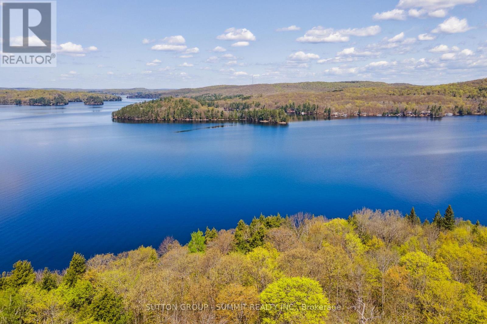 3 - 4209 Muskoka Road 117, Lake Of Bays, Ontario  P0B 1A0 - Photo 48 - X13189546