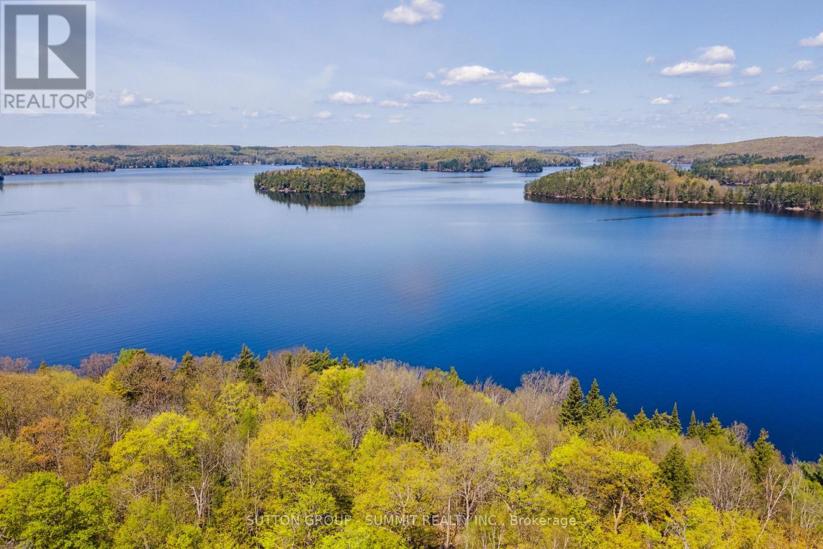 3 - 4209 Muskoka Road 117, Lake Of Bays, Ontario  P0B 1A0 - Photo 49 - X13189546