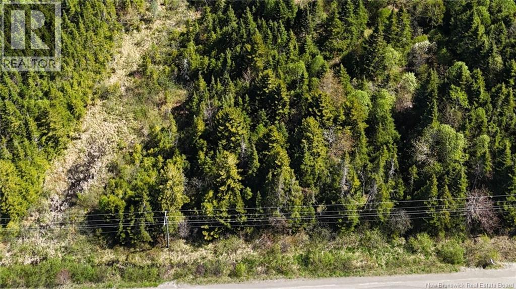 Lot Otter Lake Road, Baxters Corner, New Brunswick  E2S 2N8 - Photo 3 - NB140464