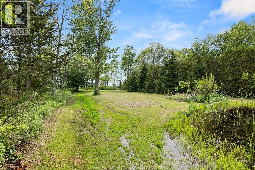 265a County Rd 34, Cottam, Ontario N8M 2X5 - Photo 46 - 26011454