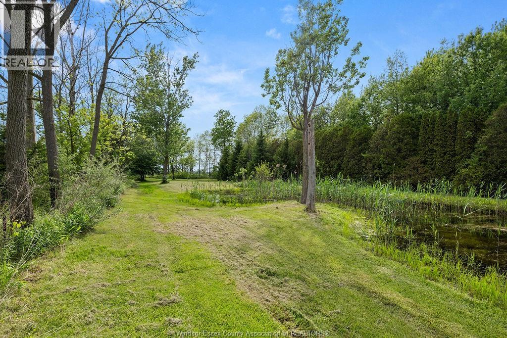 265a County Rd 34, Cottam, Ontario N8M 2X5 - Photo 45 - 26011454