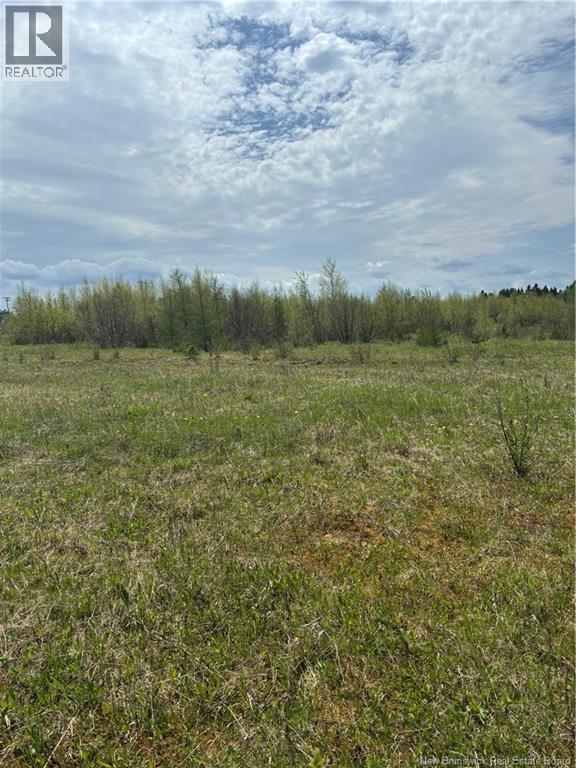 Lot 21-1 WILL ROGERS Road, Lutes Mountain, New Brunswick